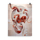 Scatter Brain